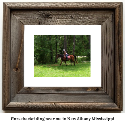 horseback riding near me in New Albany, Mississippi